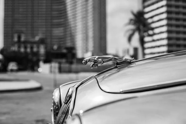 PocketWin Kaszinó Android/iOS Alkalmazás