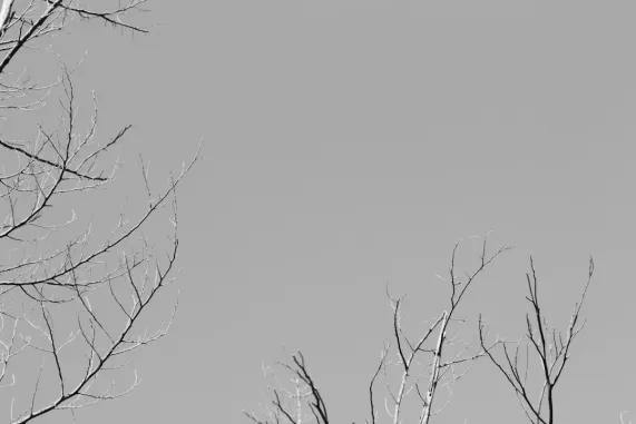 PocketWin Kaszinó Támogatás